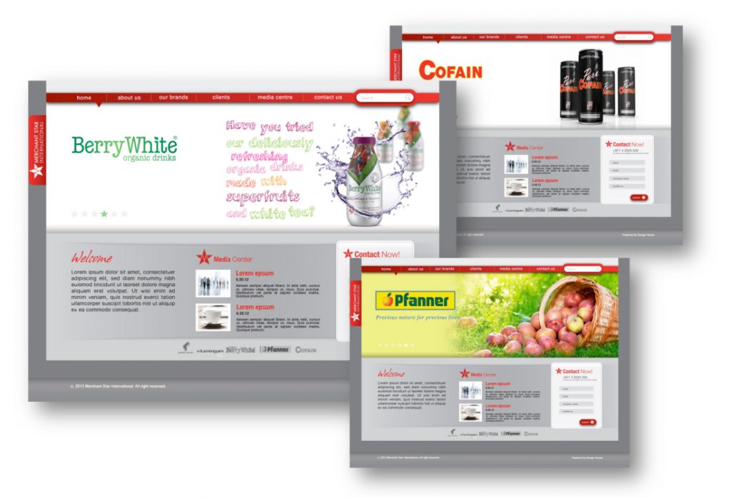 Website Design, UX Design, UI Design, Social Media Content, Graphic Designing, Digital Content, Digital Design, Digital Marketing