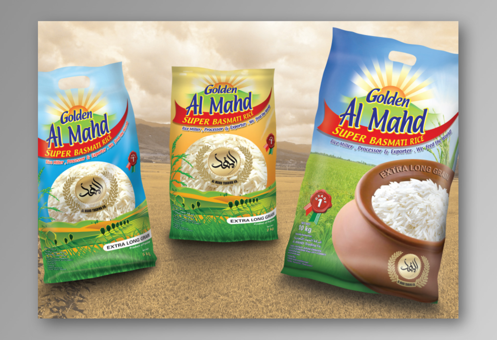 Website Design, UX Design, UI Design, Social Media Content, Graphic Designing, Digital Content, Digital Design, Digital Marketing, corporate presentations, power point presentations, multimedia presentations, rollups, banners, lamp post design, labels design, packaging design