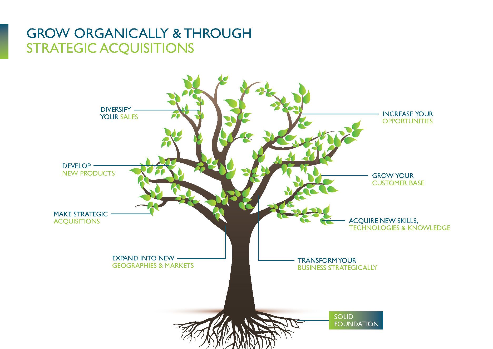 FCI-V2-FINAL copy_Page_6